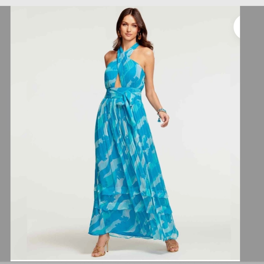 NWT $525 Ramy Brook Printed Zoya Maxi Dress